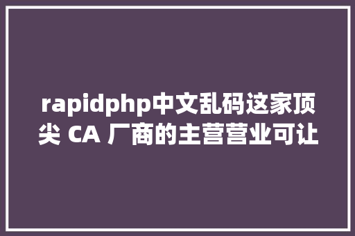 rapidphp中文乱码这家顶尖 CA 厂商的主营营业可让黄网更平安但它野心不止于此