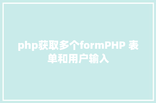 php获取多个formPHP 表单和用户输入 Docker