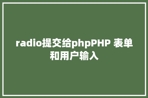 radio提交给phpPHP 表单和用户输入 Java