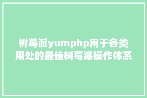 树莓派yumphp用于各类用处的最佳树莓派操作体系  Linux 中国