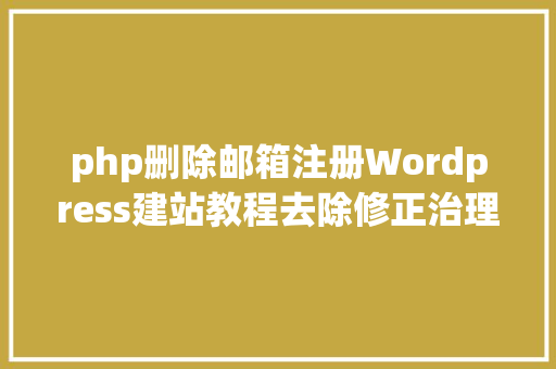 php删除邮箱注册Wordpress建站教程去除修正治理员邮箱时的邮件验证步调