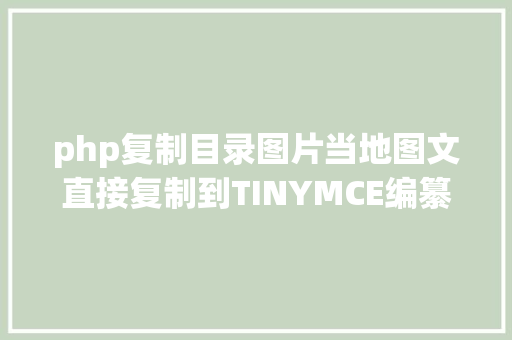 php复制目录图片当地图文直接复制到TINYMCE编纂器中 React