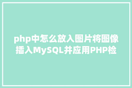 php中怎么放入图片将图像插入MySQL并应用PHP检索图像 Docker