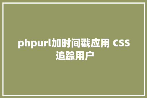 phpurl加时间戳应用 CSS 追踪用户