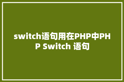 switch语句用在PHP中PHP Switch 语句 Vue.js