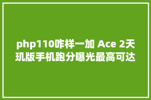 php110咋样一加 Ace 2天玑版手机跑分曝光最高可达105万分