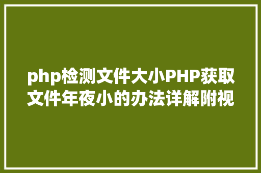 php检测文件大小PHP获取文件年夜小的办法详解附视频 Angular