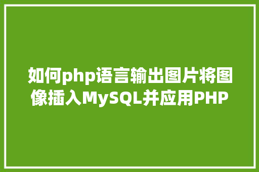 如何php语言输出图片将图像插入MySQL并应用PHP检索图像 JavaScript