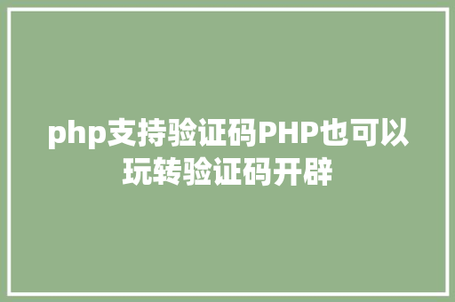 php支持验证码PHP也可以玩转验证码开辟