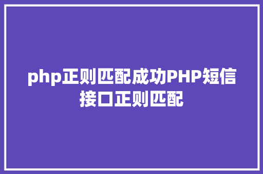 php正则匹配成功PHP短信接口正则匹配 HTML