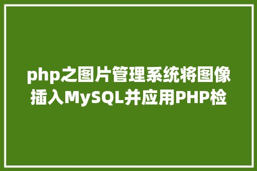 php之图片管理系统将图像插入MySQL并应用PHP检索图像 Docker