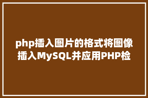 php插入图片的格式将图像插入MySQL并应用PHP检索图像 Python