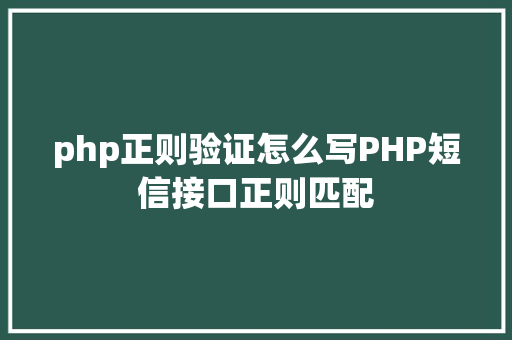 php正则验证怎么写PHP短信接口正则匹配 Vue.js