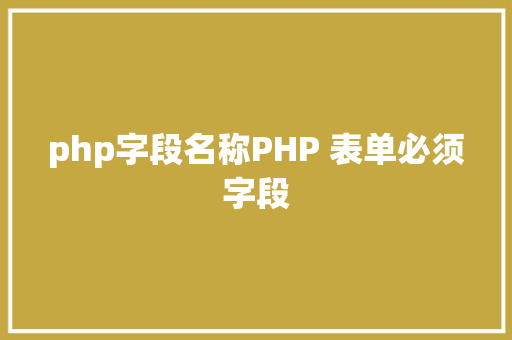 php字段名称PHP 表单必须字段 Vue.js