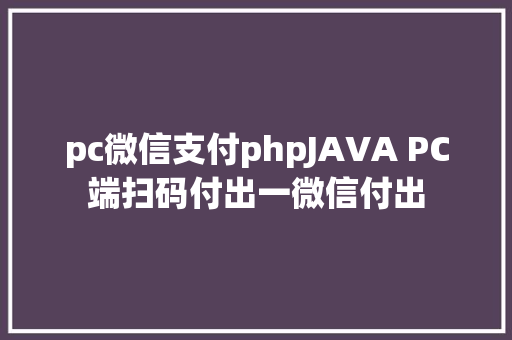 pc微信支付phpJAVA PC端扫码付出一微信付出 Ruby