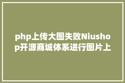 php上传大图失败Niushop开源商城体系进行图片上传毛病我们该若何处置 Webpack