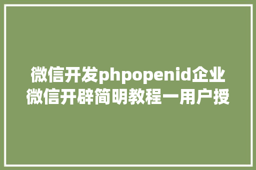 微信开发phpopenid企业微信开辟简明教程一用户授权 Docker