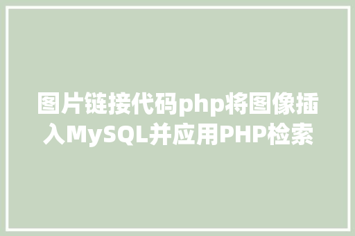 图片链接代码php将图像插入MySQL并应用PHP检索图像 GraphQL