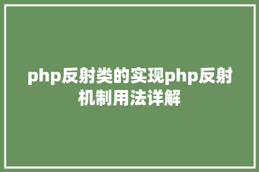 php反射类的实现php反射机制用法详解 Docker