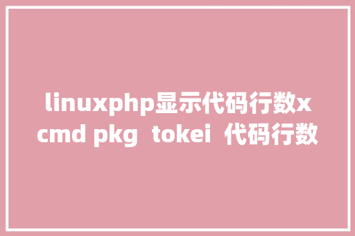 linuxphp显示代码行数xcmd pkg  tokei  代码行数统计对象 JavaScript