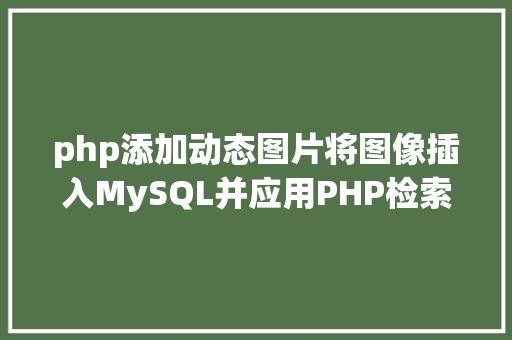 php添加动态图片将图像插入MySQL并应用PHP检索图像 React