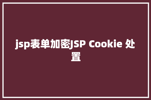 jsp表单加密JSP Cookie 处置