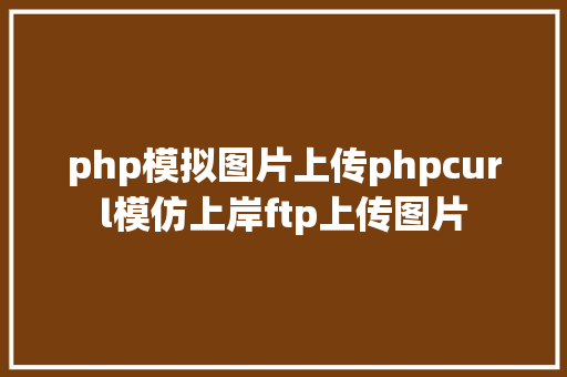 php模拟图片上传phpcurl模仿上岸ftp上传图片 Angular