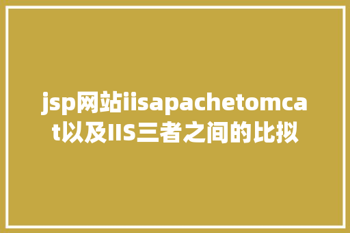 jsp网站iisapachetomcat以及IIS三者之间的比拟 JavaScript