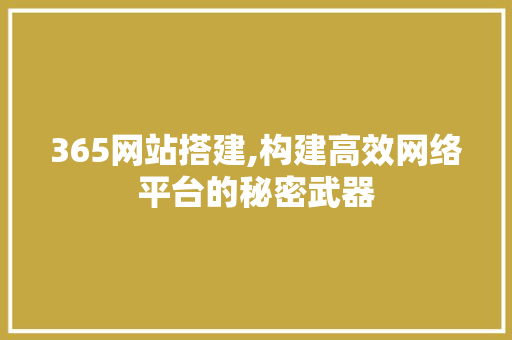 365网站搭建,构建高效网络平台的秘密武器 React