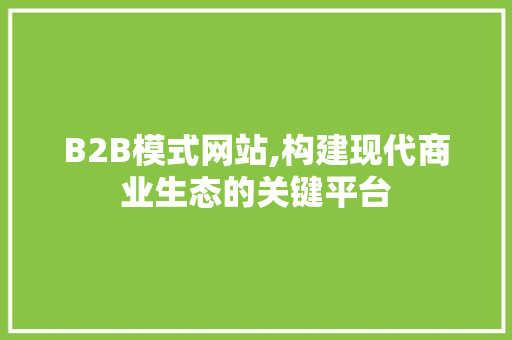 B2B模式网站,构建现代商业生态的关键平台