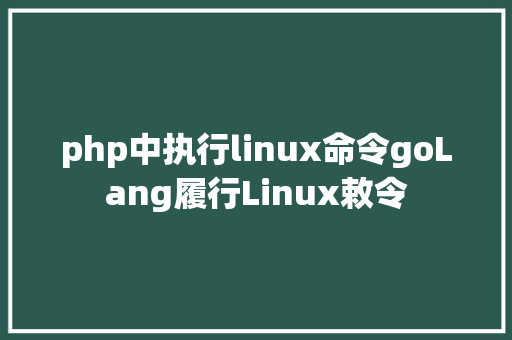 php中执行linux命令goLang履行Linux敕令 HTML