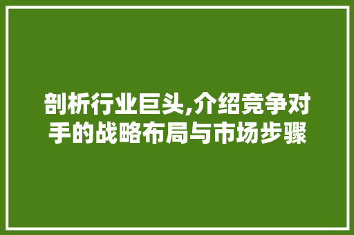 剖析行业巨头,介绍竞争对手的战略布局与市场步骤 GraphQL