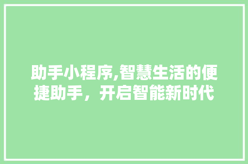 助手小程序,智慧生活的便捷助手，开启智能新时代