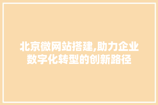 北京微网站搭建,助力企业数字化转型的创新路径 Python