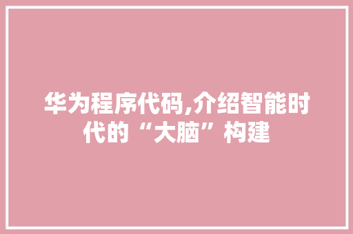 华为程序代码,介绍智能时代的“大脑”构建