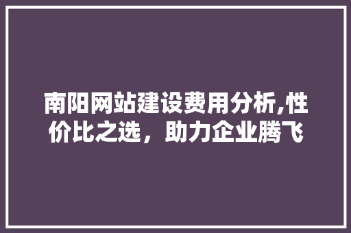 南阳网站建设费用分析,性价比之选，助力企业腾飞