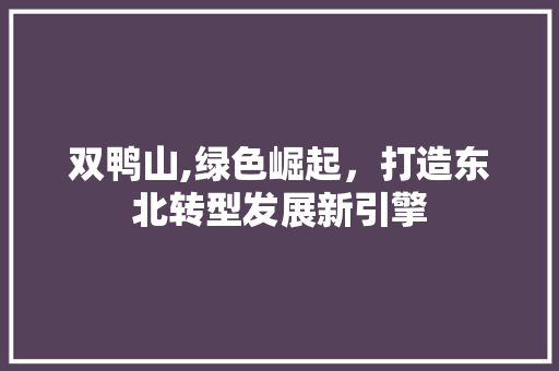 双鸭山,绿色崛起，打造东北转型发展新引擎