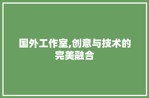 国外工作室,创意与技术的完美融合