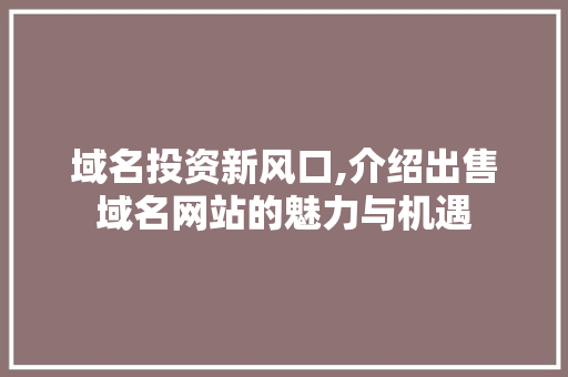 域名投资新风口,介绍出售域名网站的魅力与机遇