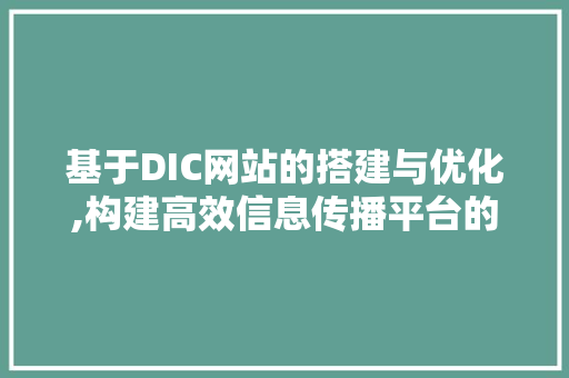 基于DIC网站的搭建与优化,构建高效信息传播平台的方法与思考 Java