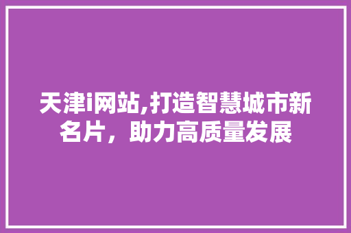 天津i网站,打造智慧城市新名片，助力高质量发展