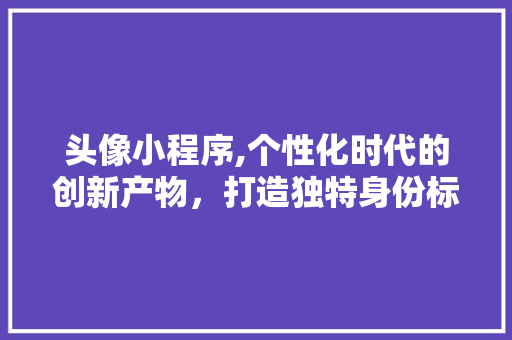 头像小程序,个性化时代的创新产物，打造独特身份标识