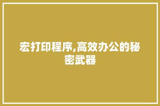 宏打印程序,高效办公的秘密武器