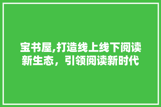 宝书屋,打造线上线下阅读新生态，引领阅读新时代