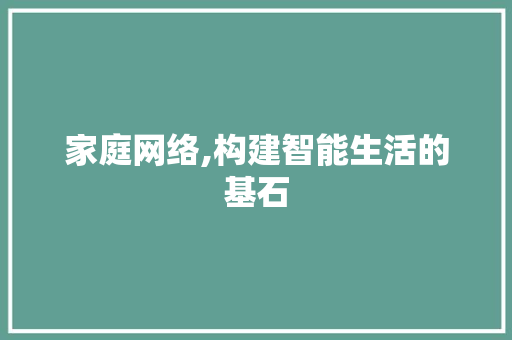 家庭网络,构建智能生活的基石