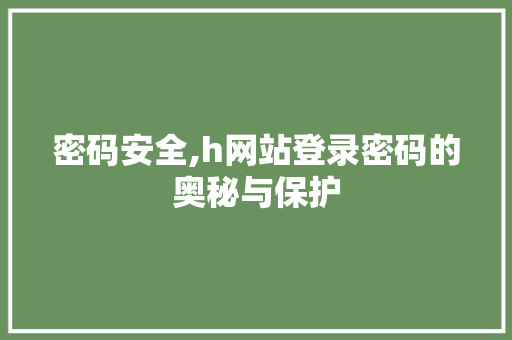 密码安全,h网站登录密码的奥秘与保护