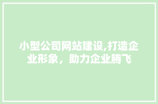 小型公司网站建设,打造企业形象，助力企业腾飞 Vue.js