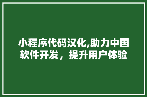 小程序代码汉化,助力中国软件开发，提升用户体验