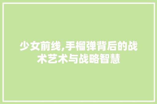 少女前线,手榴弹背后的战术艺术与战略智慧