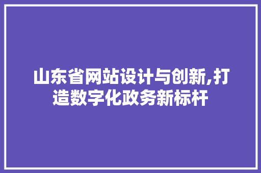 山东省网站设计与创新,打造数字化政务新标杆